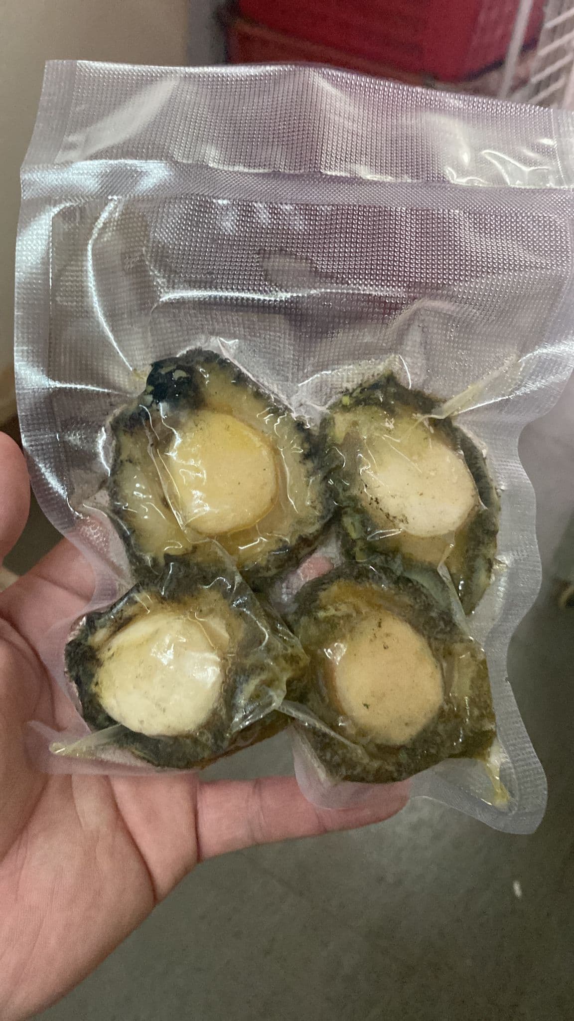 家常自煲補膠套裝 &#8211; 急凍小南非鮑魚小金龍肚 - 鮑饌