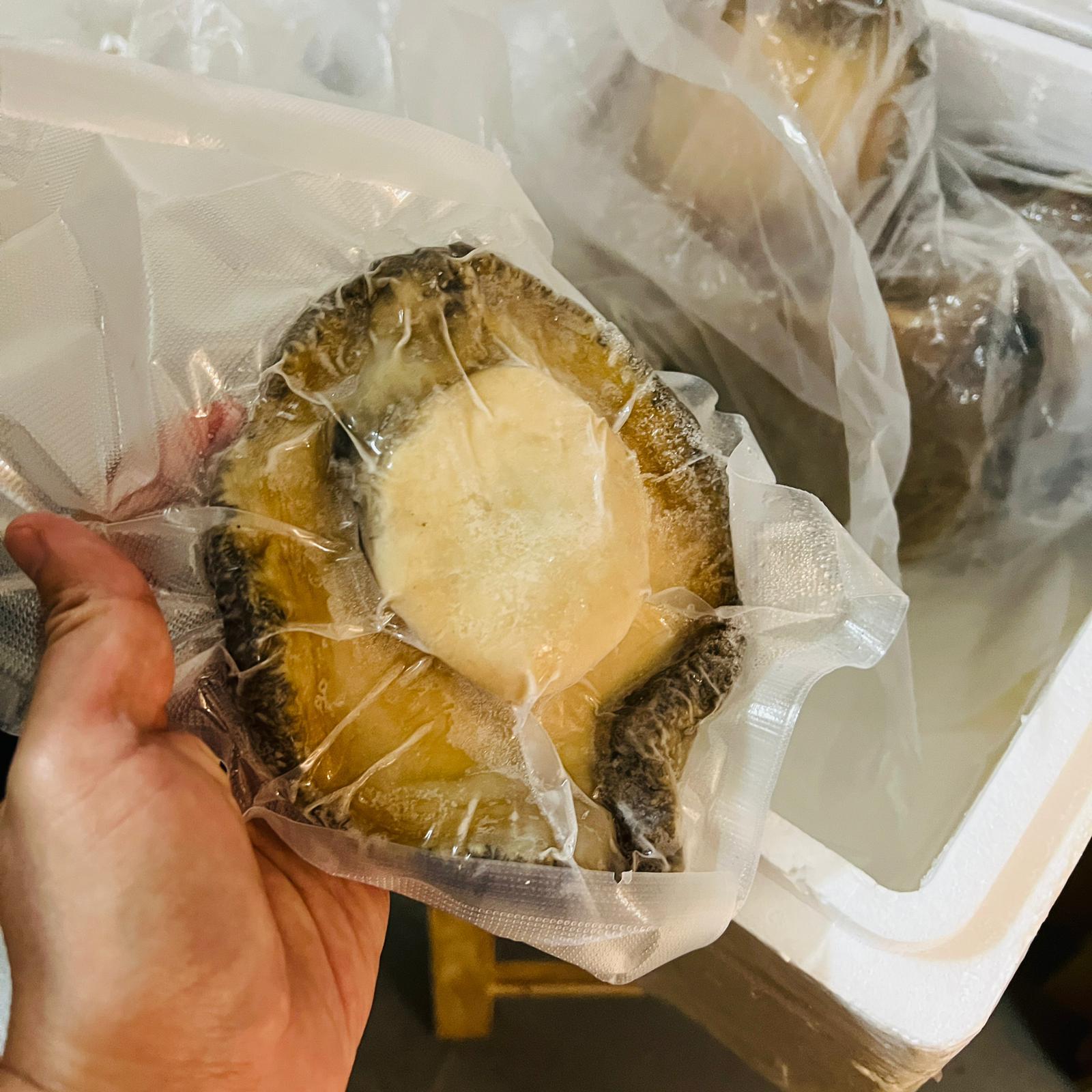 【自煲系列】極品花膠鮑魚套餐