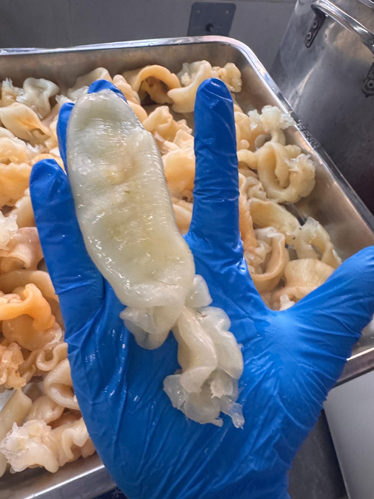 已浸發金龍肚 (半斤 – 42隻) - 產品圖片 1 - 鮑饌