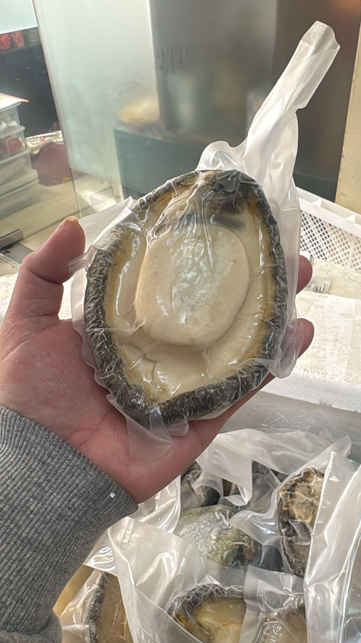 野生南非青底急凍鮑 - 圖片 5