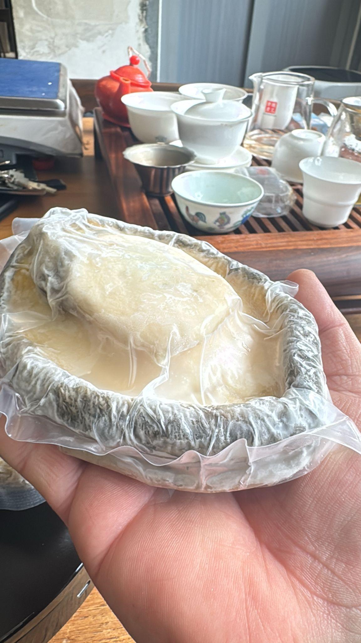 野生南非青底急凍鮑 | 香港製造即食海味 | 鮑饌