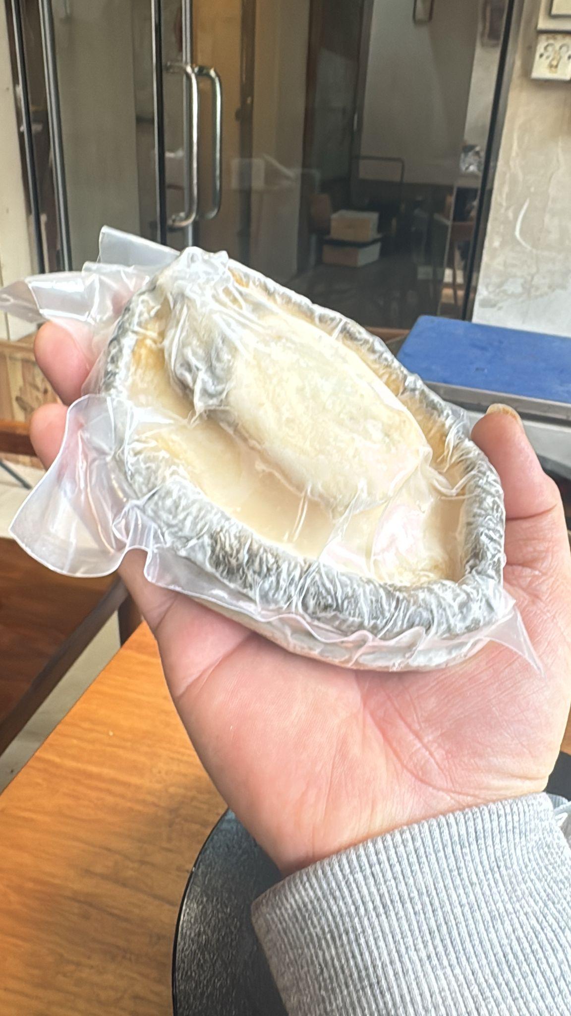 野生南非青底急凍鮑 - 圖片 3