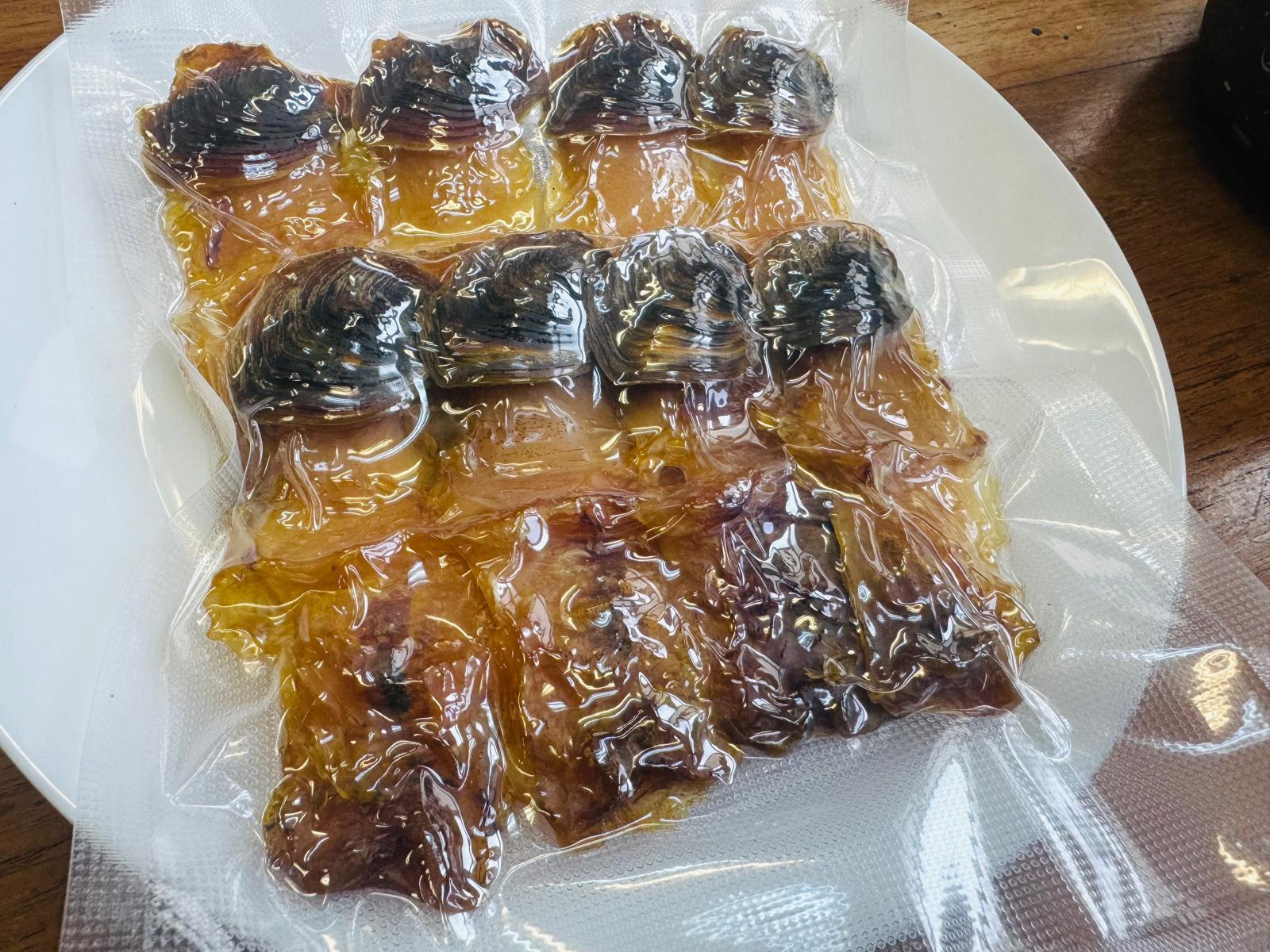 美國加大原隻響螺頭 - 產品圖片 1 - 鮑饌