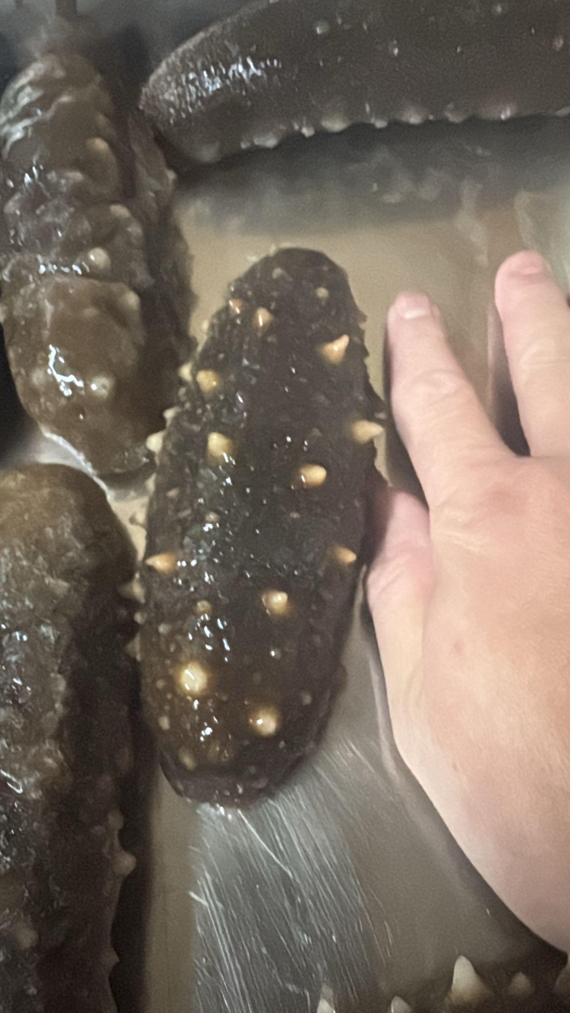 浸發日本特級關西海參 (特大) (3條) - 產品圖片 2 - 鮑饌
